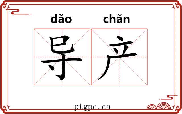 导产