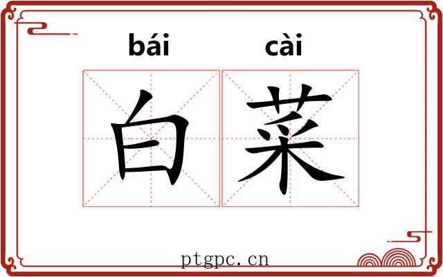 白菜 白菜