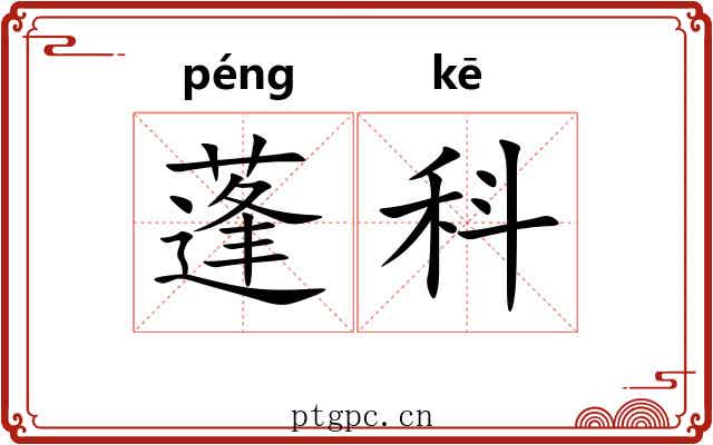 蓬科