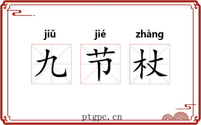 九节杖