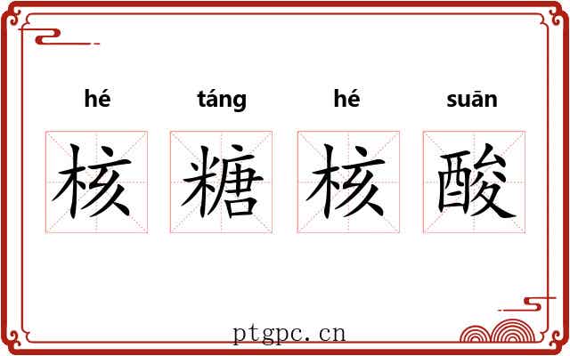 核糖核酸