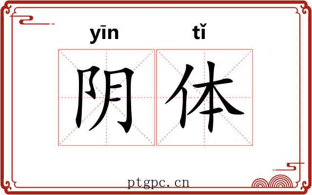 阴体 阴体