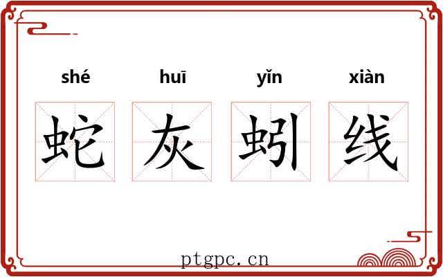 蛇灰蚓线