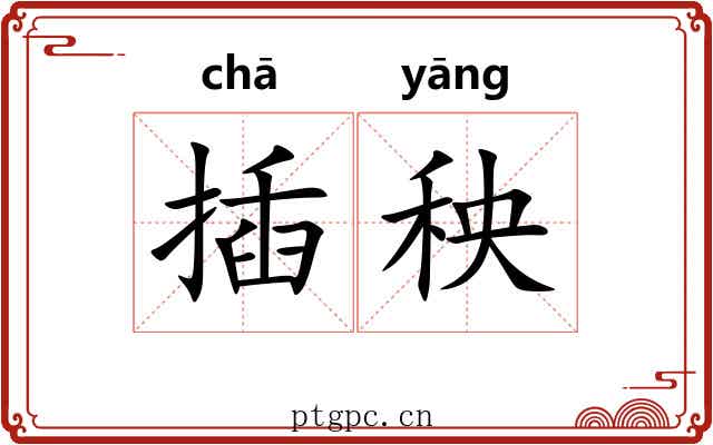 插秧 插秧