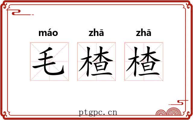 毛楂楂 毛楂楂