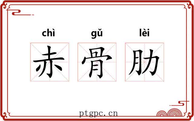 赤骨肋