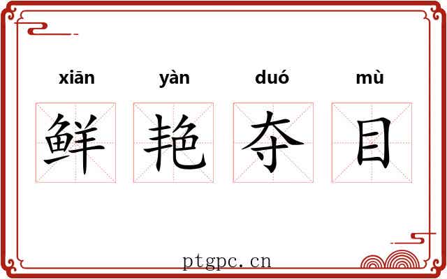 鲜艳夺目 鲜艳夺目