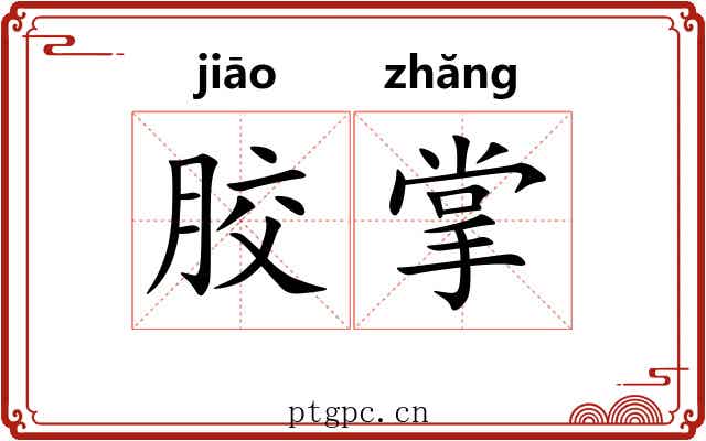 胶掌