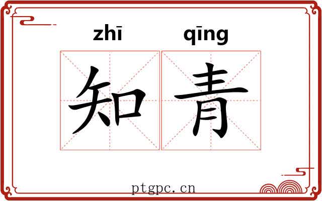知青