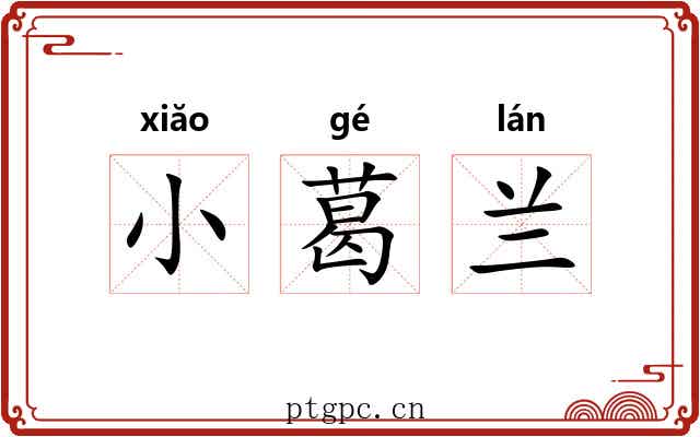 小葛兰 小葛兰