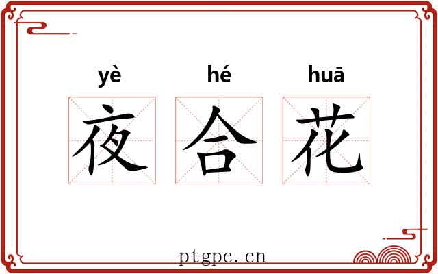 夜合花