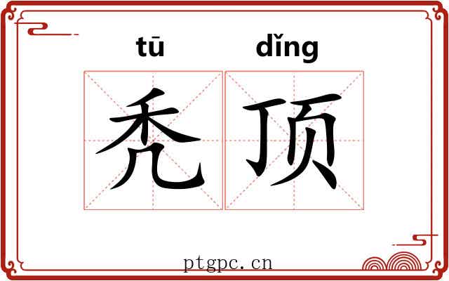 秃顶 秃顶