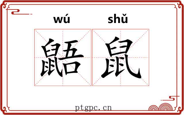 鼯鼠 鼯鼠