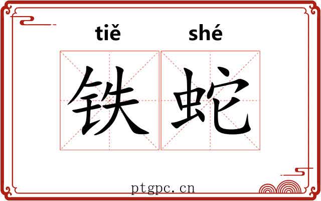 铁蛇