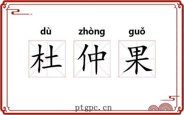 杜仲果