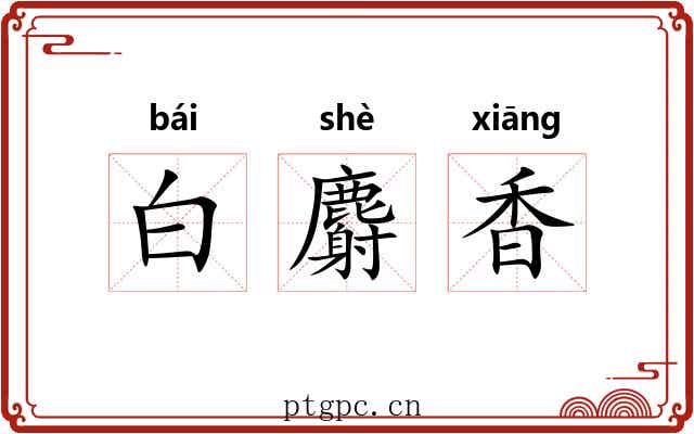 白麝香
