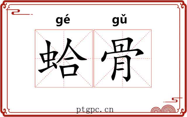 蛤骨 蛤骨