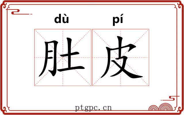 肚皮 肚皮