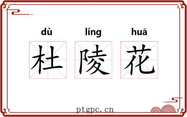 杜陵花