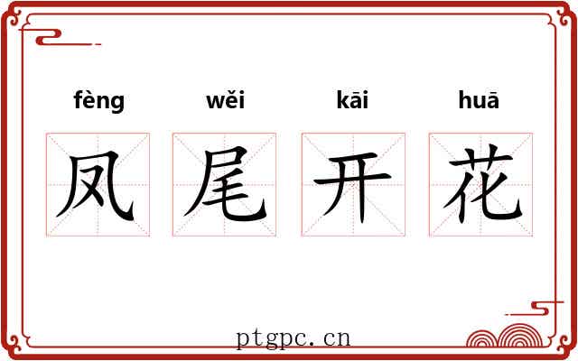 凤尾开花 凤尾开花