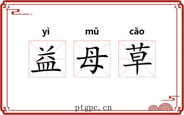 益母草