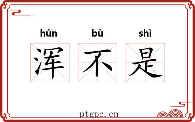 浑不是