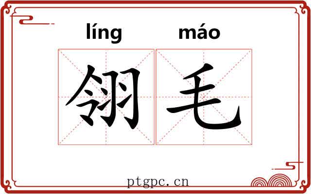 翎毛