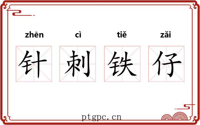 针刺铁仔 针刺铁仔