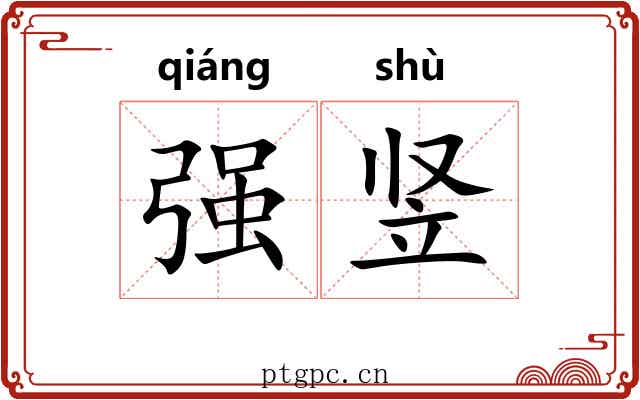 强竖 强竖