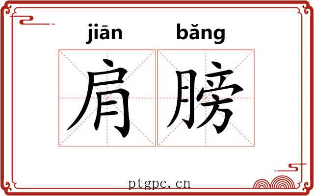 肩膀