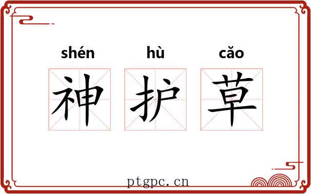 神护草 神护草