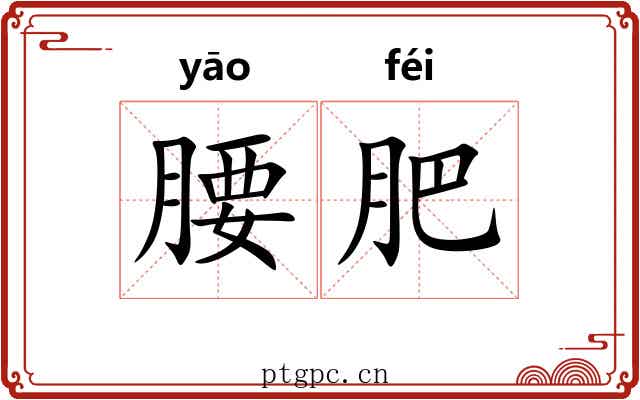 腰肥
