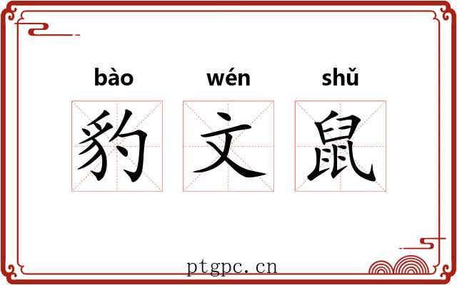 豹文鼠