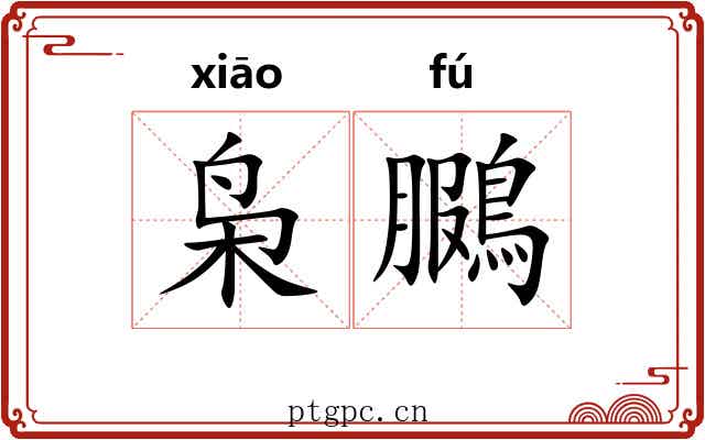 枭鵩