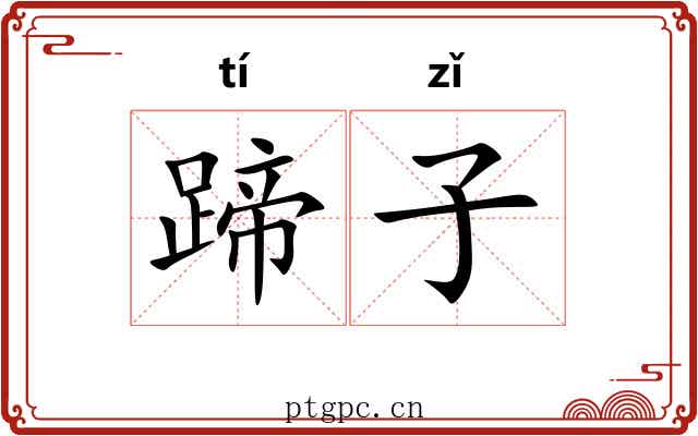 蹄子 蹄子