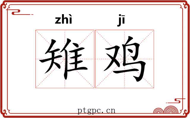 雉鸡
