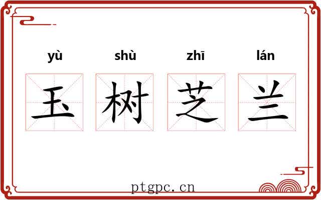 玉树芝兰 玉树芝兰