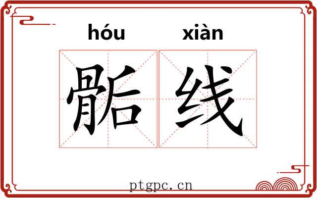 骺线