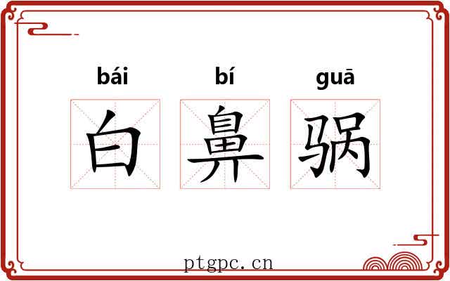 白鼻䯄