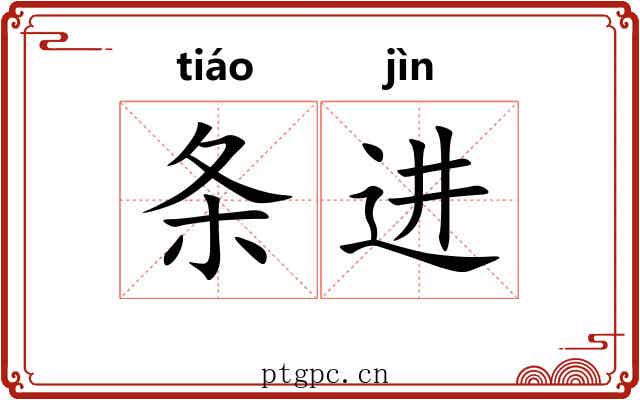 条进