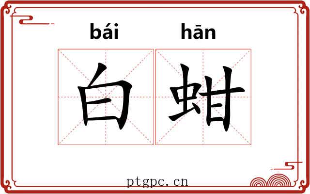 白蚶 白蚶