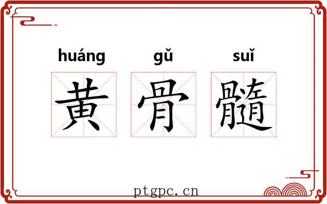黄骨髓