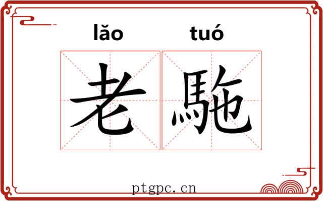 老駞