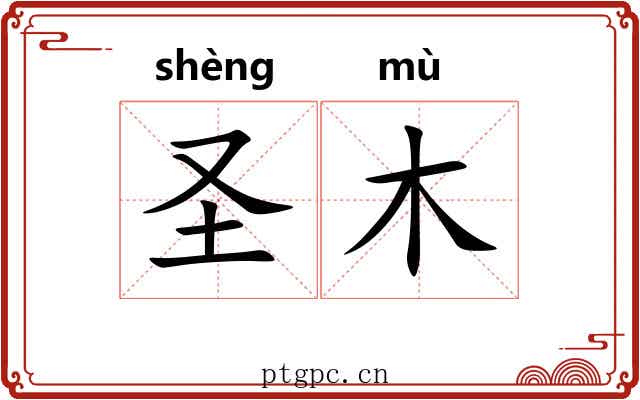 圣木