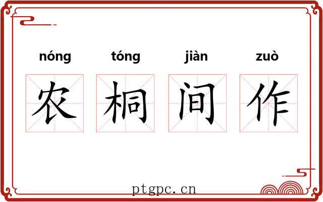 农桐间作 农桐间作