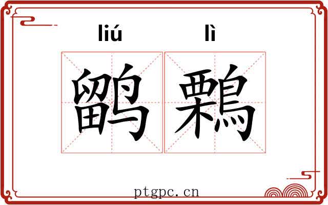 鹠鷅