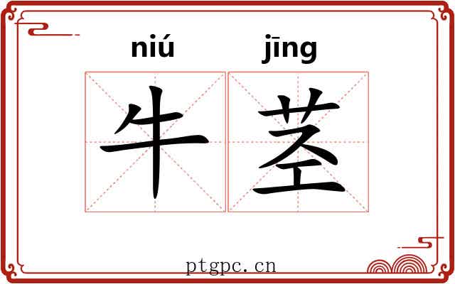 牛茎