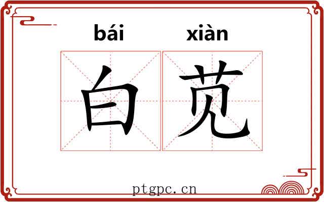 白苋