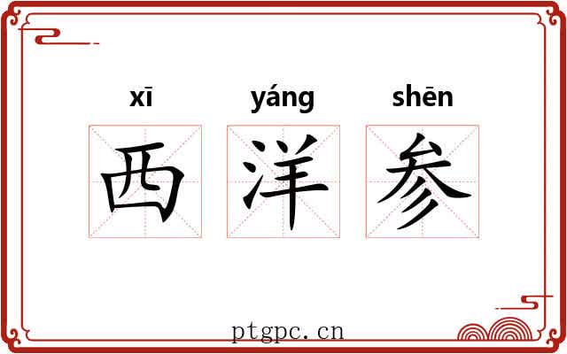 西洋参 西洋参