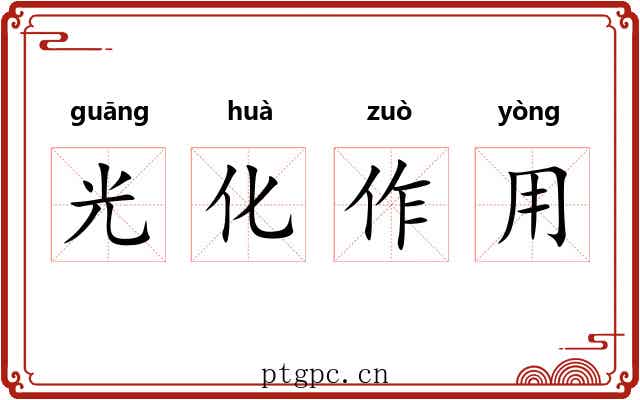 光化作用 光化作用
